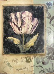 Plechová retro cedule Carte postale Tulipán