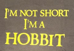 Pánské tričko s potiskem I'm not Short, I'm a HOBBIT