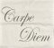Povlak Carpe Diem
