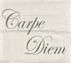 Povlak Carpe Diem