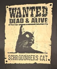 Pánské tričko s potiskem Wanted Dead Alive