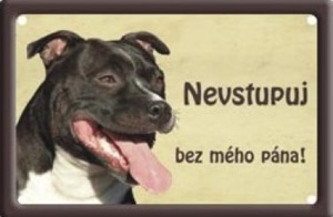 Plechová cedulka Nevstupuj bez mého pána Staforšírský bulteriér