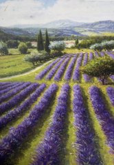 Obraz na zeď Provence