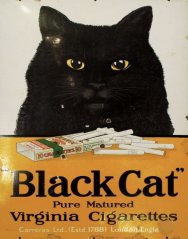 Plechová cedule Black Cat