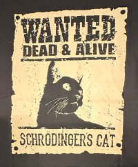 Pánské tričko s potiskem Wanted  Dead Alive