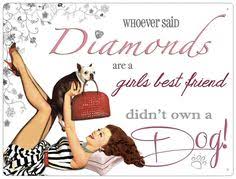 Plechová cedule Diamonds are a girls best friend didn't own a Dog!