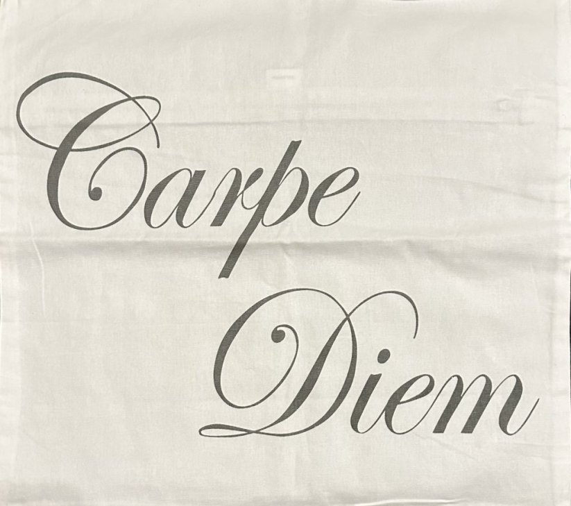 Povlak Carpe Diem