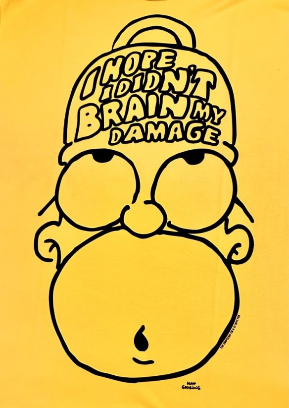 Pánské tričko s potiskem The Simpsons Homer  I hope I didn't Brain my Demage