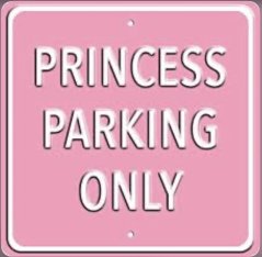 Plechová cedule Princess parking only