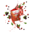 Fitline Activize oxyplus černý rybíz