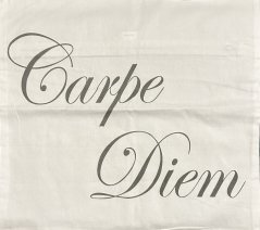 Povlak Carpe Diem